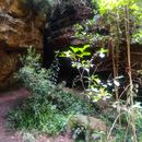 CS HIKING TRIP (Cueva del Diablo) 🤠☀️⛰️🌳🪨🦇🎒🧘的照片