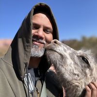 Souvik Samanta's Photo