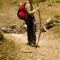 Le foto di György Kulcsár