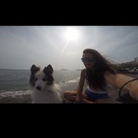 Moeko Oshima's Photo