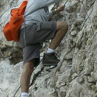 Andrea Maseroli's Photo