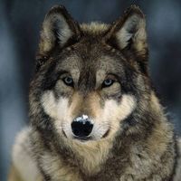 Fotos von Filip Hák