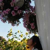 Xali Gasimova's Photo