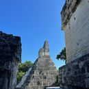 Caminata En Tikal's picture