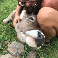 gaia agozzino的照片