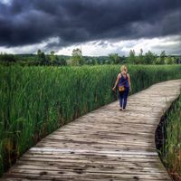 Fotos de Pascale Allard