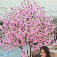 Natasha Zacharova's Photo