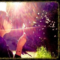 Sté Wittchen's Photo