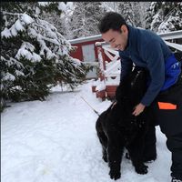 Alberto Casado的照片