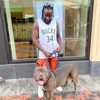 Engelhard Skrywer的照片