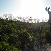 Laura Burmeister's Photo