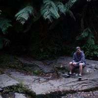 David Wilson's Photo