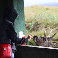 Abdulkarim "Kemo"'s Photo