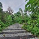 Hiking at Taman Tugu's picture