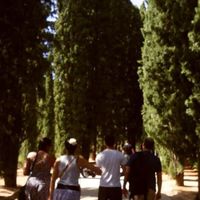 Nick Grigoriou's Photo