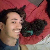 Emilio D'Ovidio的照片