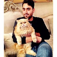 Fotos von Ali Kashefi