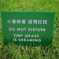 Le foto di Ruby Lavallee