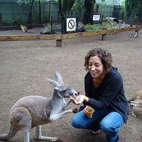 Patricia Moskowite's Photo