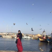 Lynda Annabi的照片