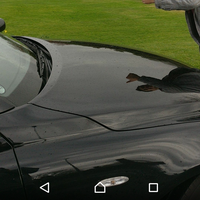 Benjamin Turton's Photo