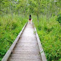 Ashley Weiss的照片