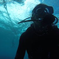 Aldo Morado solórzano的照片