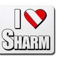 Mohamed Elelwani的照片