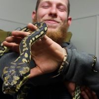 James Morris的照片