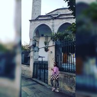 Juanita Mesa的照片