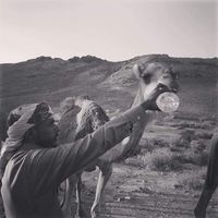 Yousef Al - Mousi的照片