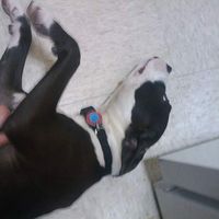 Fotos von Tracy Bartley