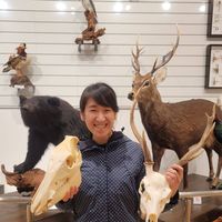 Photos de Yu Hee Park