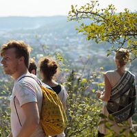 Paul Horsters的照片