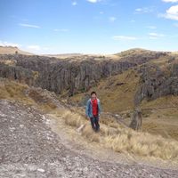 Alvaro Pastor's Photo