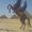 Steven Penn's Photo