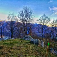 Abbas Jafari's Photo