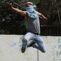 Mohamad Subheia的照片