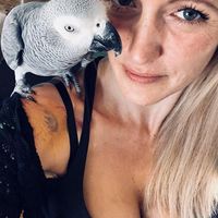 Saga Sandvik's Photo