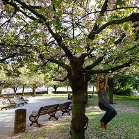 Silvia Aragón's Photo