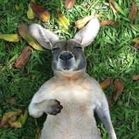 Alfonso Hugo的照片