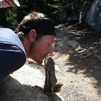 Dennis Kooij's Photo