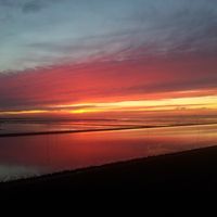 Cosima Mähl's Photo