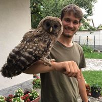 Фотографии пользователя Ádám Soo