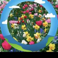 Aleksandra Alex的照片