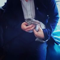 Cristian Alexis Montealegre Mahecha's Photo