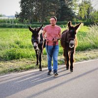 Julian Mettler的照片