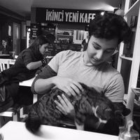 basar donmez's Photo