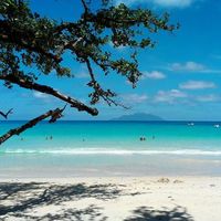 ISLANDERGIRL的照片