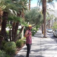 Photos de Dominik Polak